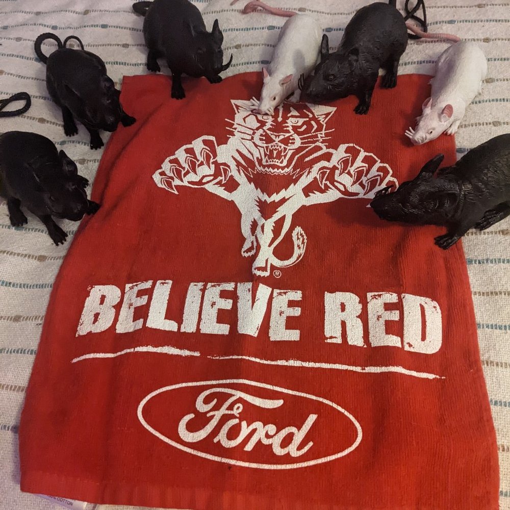 FL panthers gameday gear